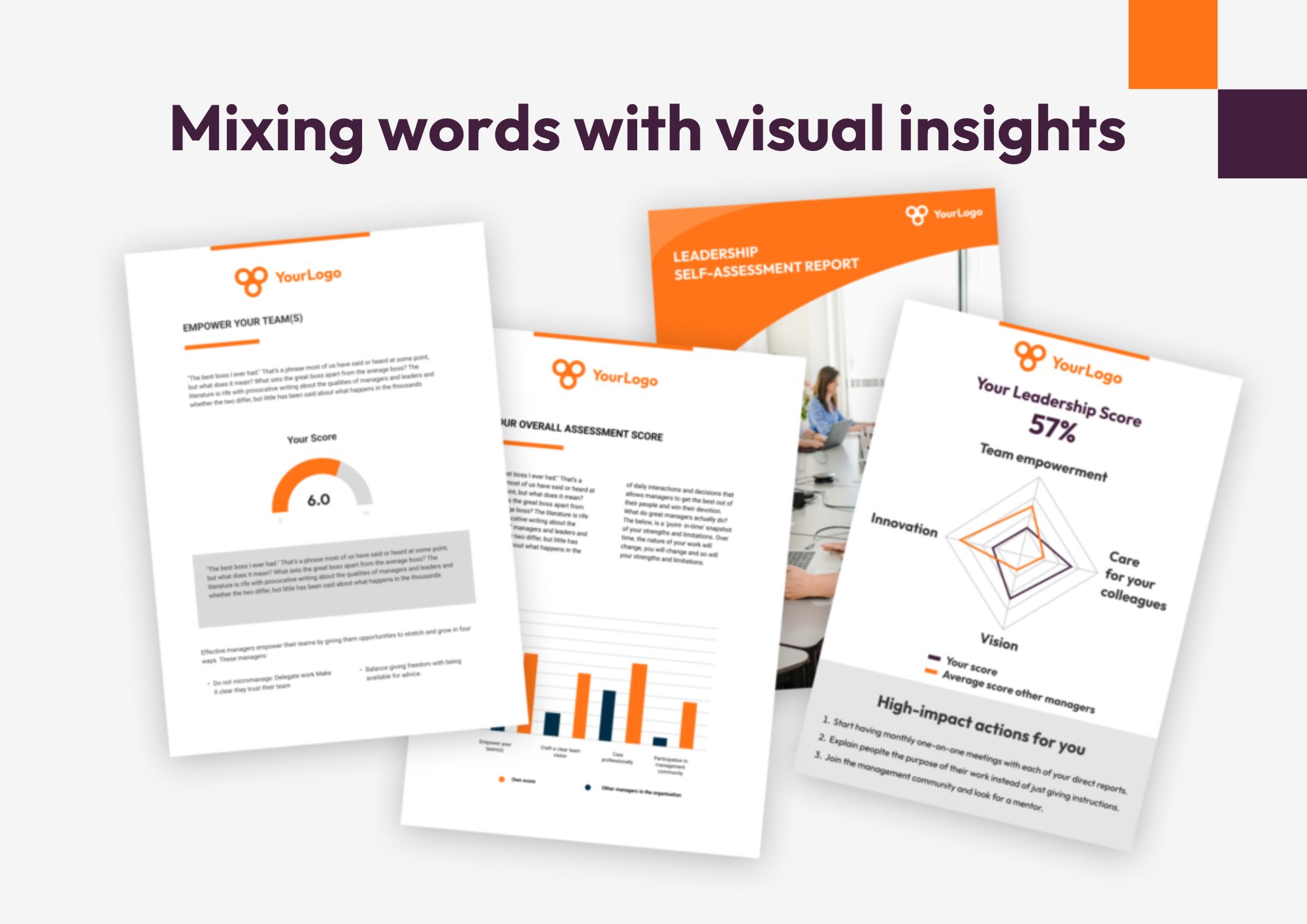 Mixing words with visual insights on assessment reports