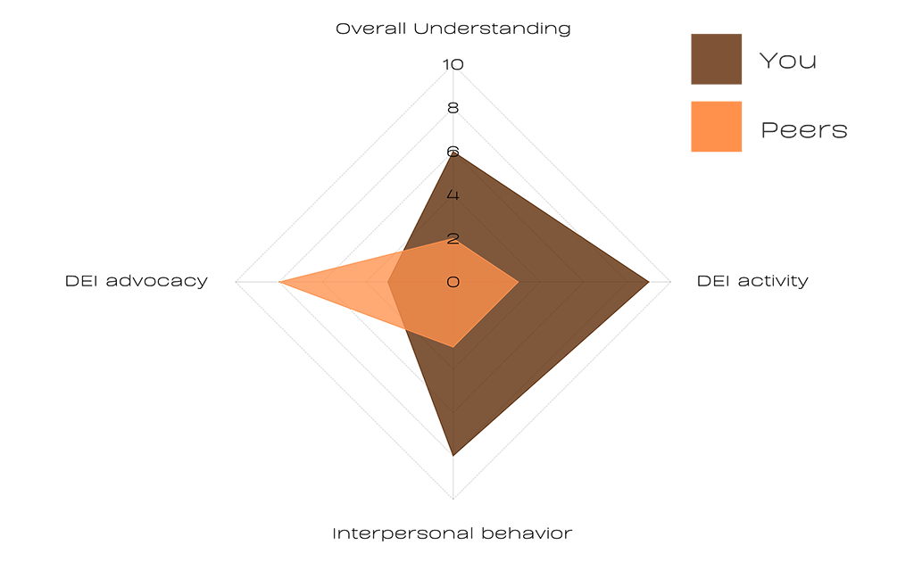 DEI assessment spider chart